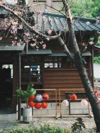 櫻花、木屋與咖啡香 走進77文藝町的慢生活