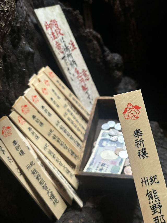 🌳 熊野那智大社：穿越百年樹洞的心願