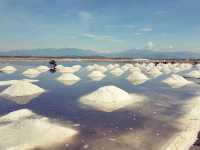 Sustainable Travel at Ninh Hòa’s Salt Fields – A Lesson in Tradition and Preservation
