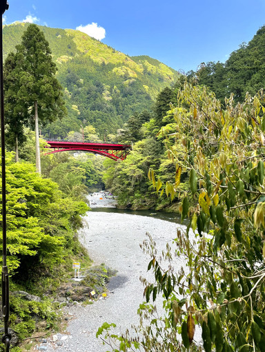 東京×奥多摩】青もみじと新緑の絶景と川のせせらぎ | Trip.com 奥多摩