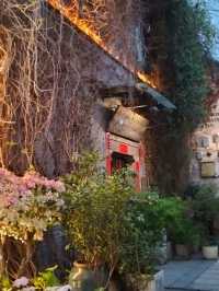 Tea Trails and Temple Tranquility: My Hangzhou Discovery