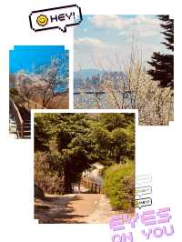 Spring Strolls with a View: Dalmaji Park's Scenic Pathways