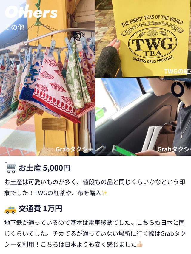 カップルで年越し🎉3泊5日のシンガポール旅費公開✨