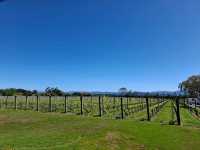 Excellent wine flights and pizzas