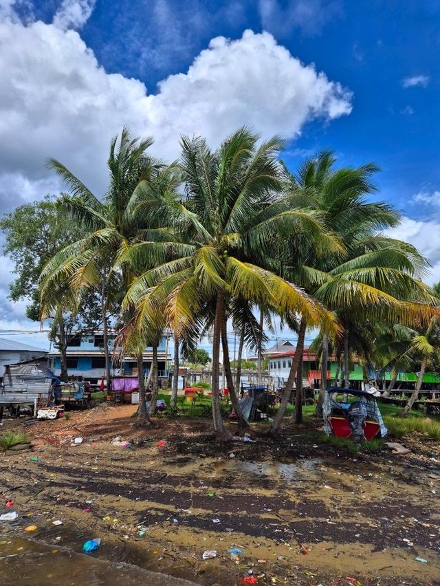 동남아시아의 베니스 : 캄퐁아에르(Kampong Ayer)🇧🇳
