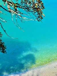 Captivating Beauty: Exploring the Wonders of Blue Moon Valley