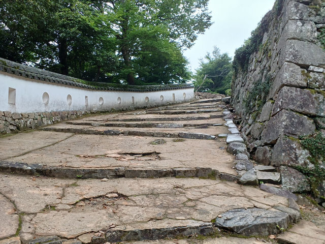 【岡山】日本100名城・備中松山城