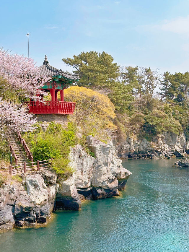 : 제주 가볼만한 곳 : 제주 용연계곡 / 용연구름다리
