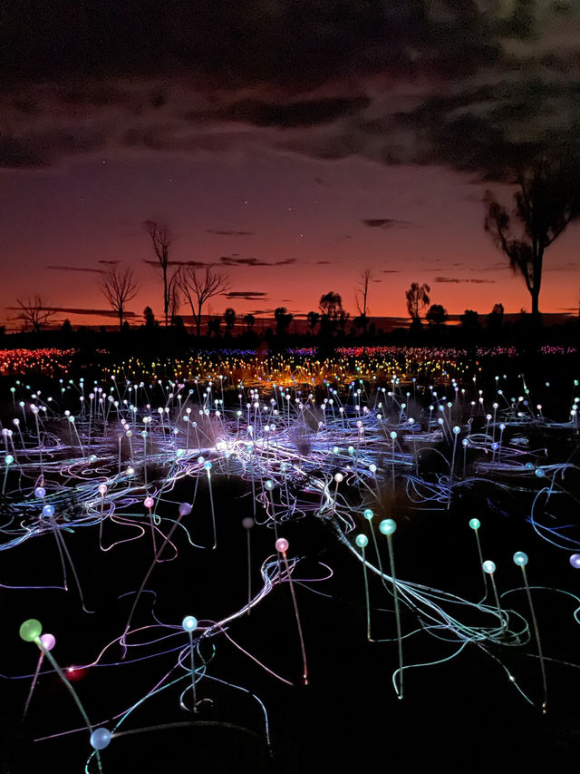 Desert in Bloom: Uluru in April is Pure Magic
