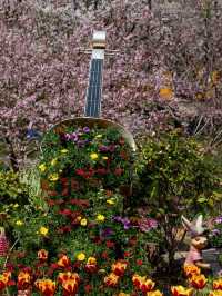 *Shangfangshan National Forest Park– Suzhou’s Wildflower Paradise