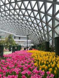 สวนดอกไม้เมืองหนาวระยอง