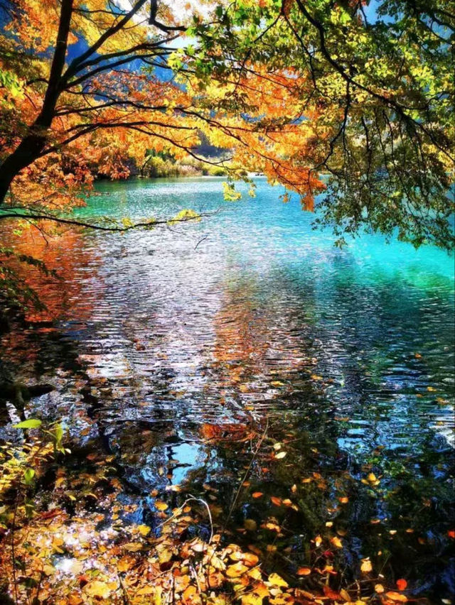 Magical Autumn: The Timeless Beauty of Jiuzhaigou