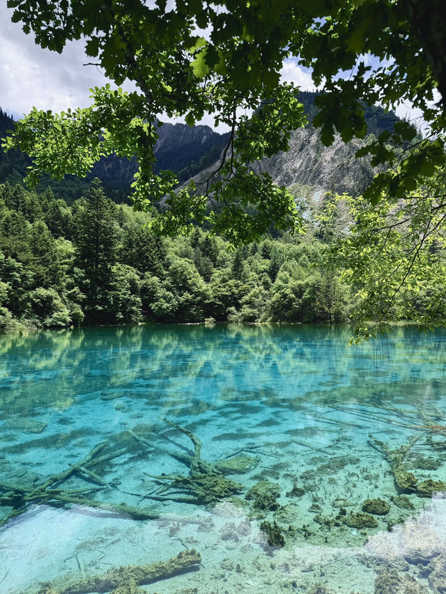 九寨沟 Jiuzhaigou, China