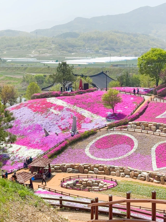 핑크빛 꽃잔디로 물드는 산청 생초국제조각공원💖