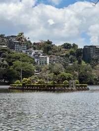 Kandy Chronicles: Temples, Tea, and Mountain Magic