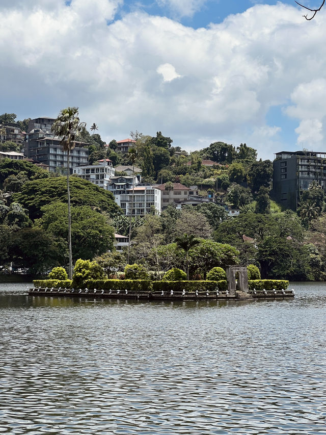 Kandy Chronicles: Temples, Tea, and Mountain Magic