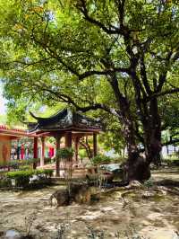 🙏✨ 探索千佛山菩提寺：靈性之旅的心靈聖地！