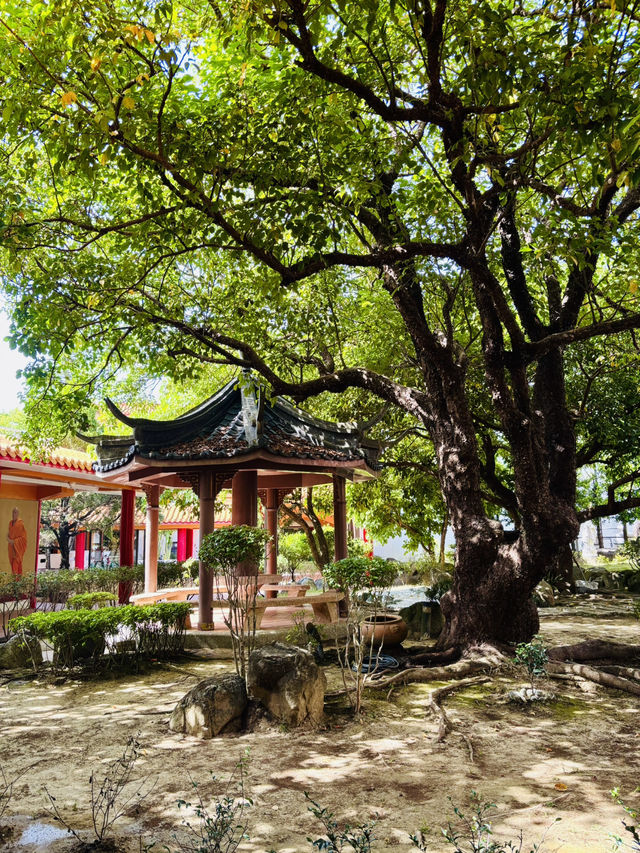 🙏✨ 探索千佛山菩提寺：靈性之旅的心靈聖地！