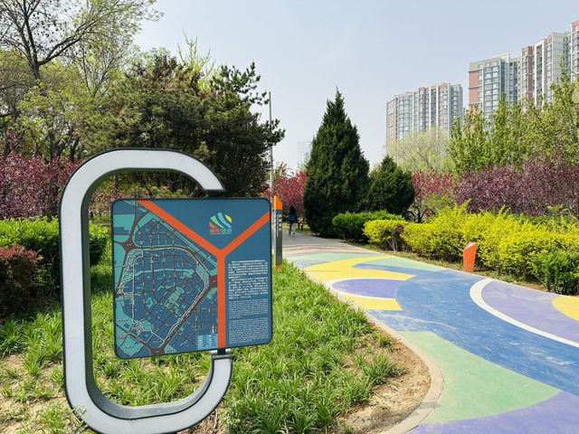 The Commuter's Sanctuary: Finding Zen in Wangjing's Urban Waterfront