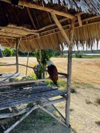Trip to Gurun Pasir Bintan