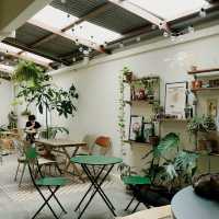 Elegant Brews at Yue Coffee