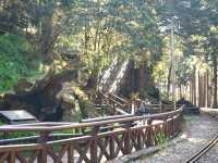อาลีซาน 阿里山