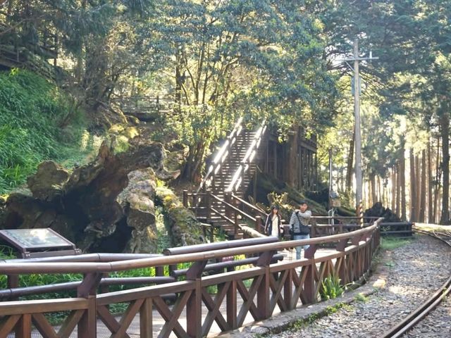 อาลีซาน 阿里山