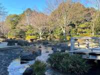 絕美靜謐大仙公園日本庭園🌿