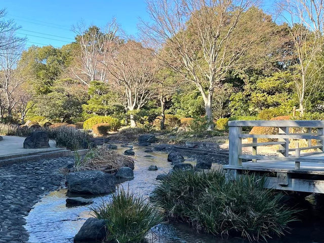 絕美靜謐大仙公園日本庭園🌿