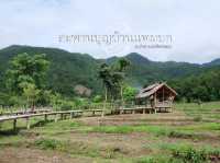 สะพานไม้ไผ่บ้านแพมบก (โขกู้โส่) 🌳