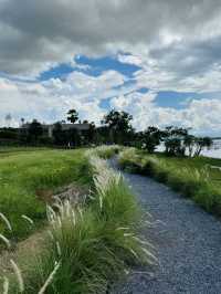 คาเฟ่ลับริมทะเล บรรยากาศโคตรดีที่ “ภูนาเล พัทลุง“