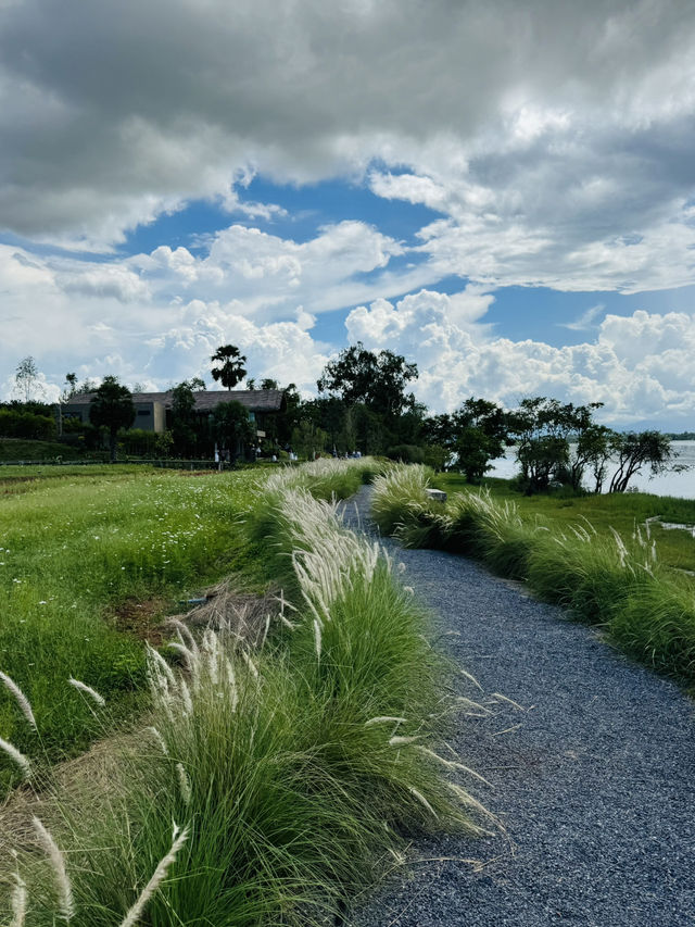 คาเฟ่ลับริมทะเล บรรยากาศโคตรดีที่ “ภูนาเล พัทลุง“