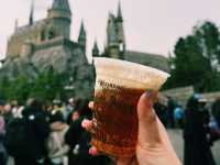 Universal Studio Japan in early April 2025