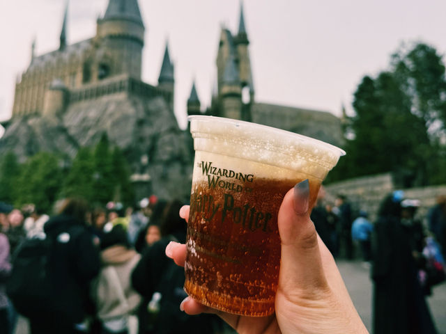 Universal Studio Japan in early April 2025