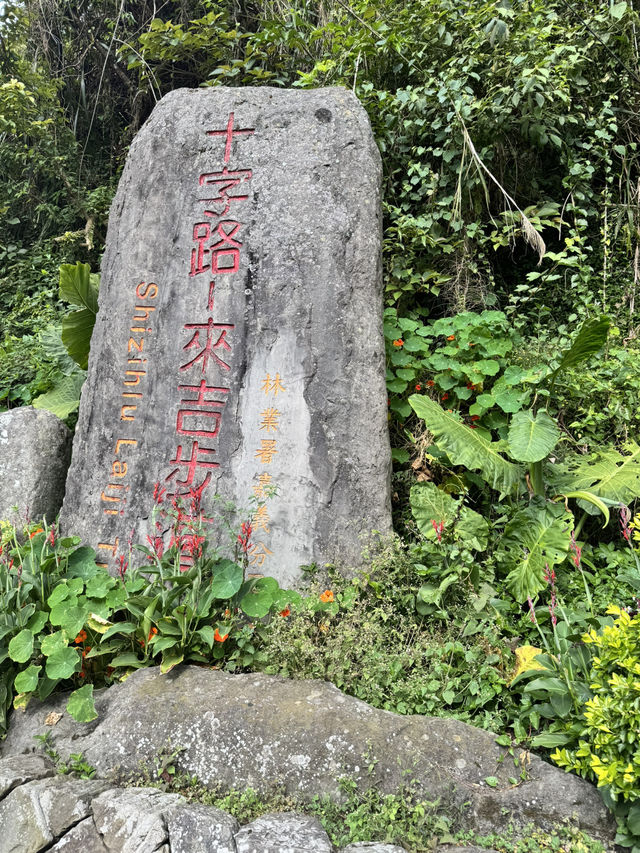 走讀阿里山林道鐵路的百年風華～奮起湖站到十字路站