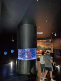 Underwater Adventures Await at Manila Ocean Park