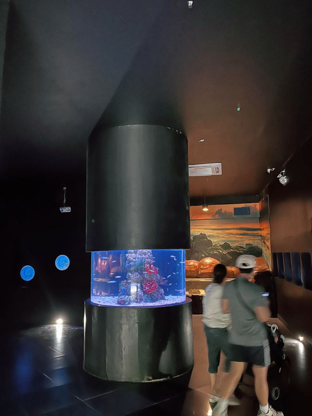 Underwater Adventures Await at Manila Ocean Park