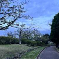 柱島·櫻花小島