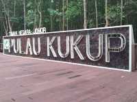 Taman Negara Johor Pulau Kukup – A Solo Traveller’s Adventurous Escape