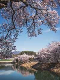 Rokudō no Tsutsumi 🌸