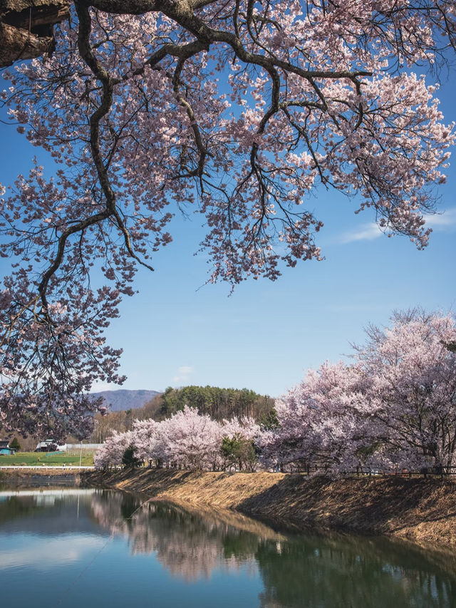 Rokudō no Tsutsumi 🌸
