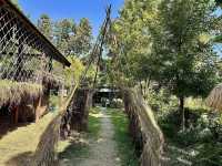 Exploring Bentong Ginger Farm: Pahang’s Spicy Agri-Tourism Gem