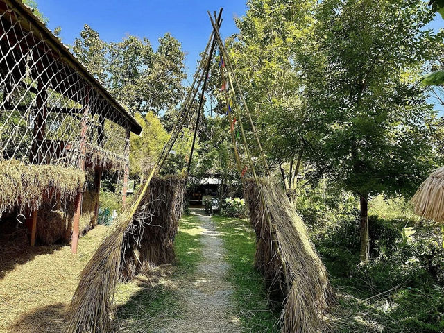 Exploring Bentong Ginger Farm: Pahang’s Spicy Agri-Tourism Gem