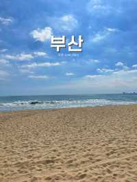 부산이 처음이신가요?