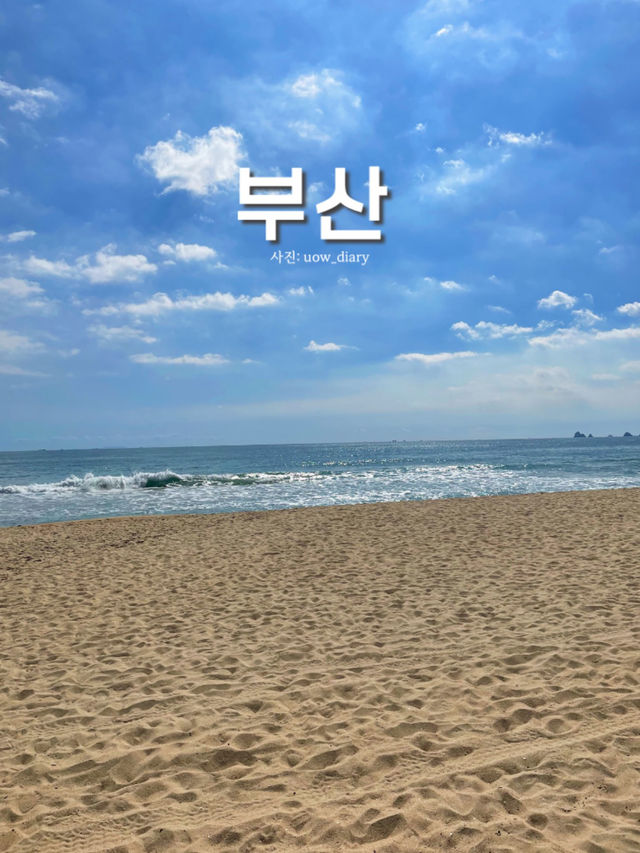 부산이 처음이신가요?