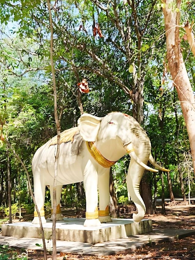 💯 พระธาตุโพนจิกเวียงงัว