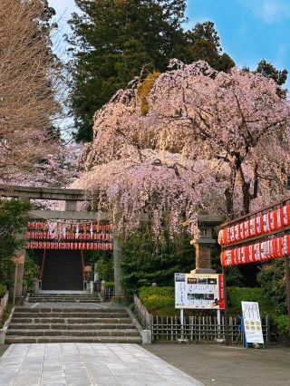Sendai is simply magical! 