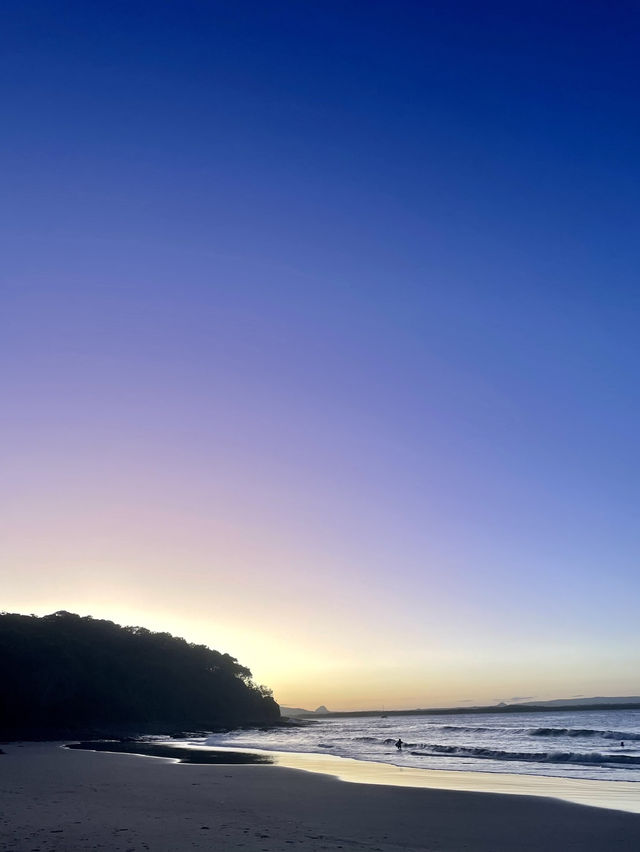 澳洲🦘Sunshine Coast - Tea tree