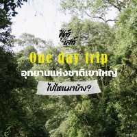 One day trip #เขาใหญ่ 🌾🛵🌳