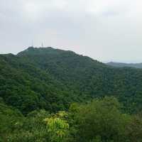 ～永春崗公園～綠意如織～